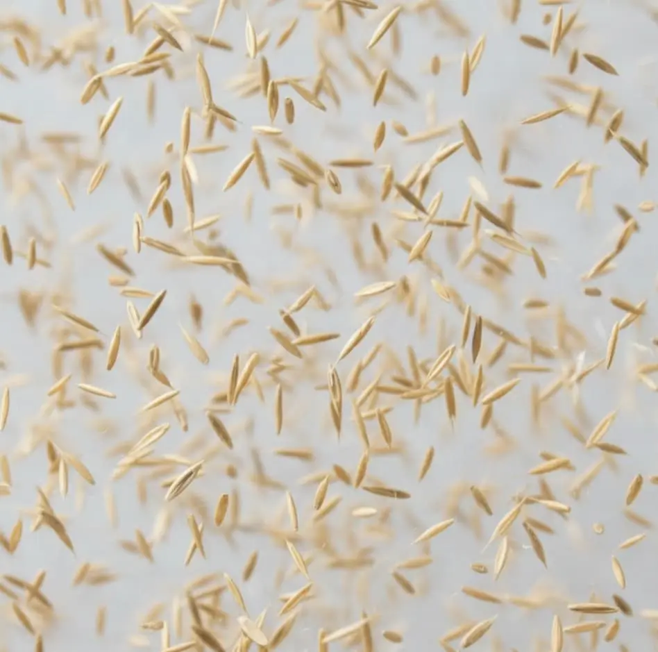 grass after weed removal