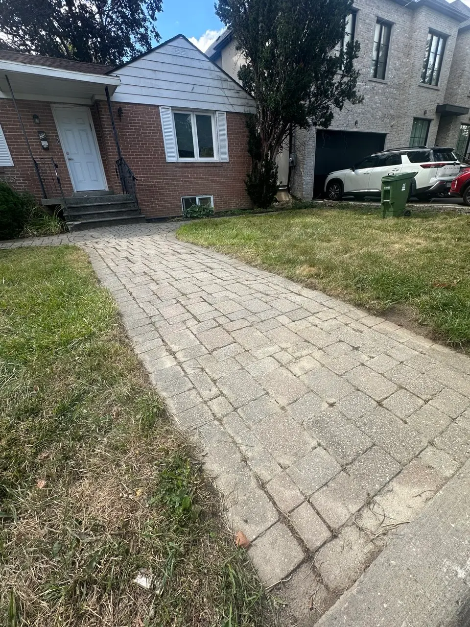 after manual weed removal