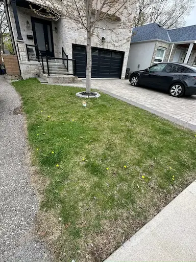 before lawn